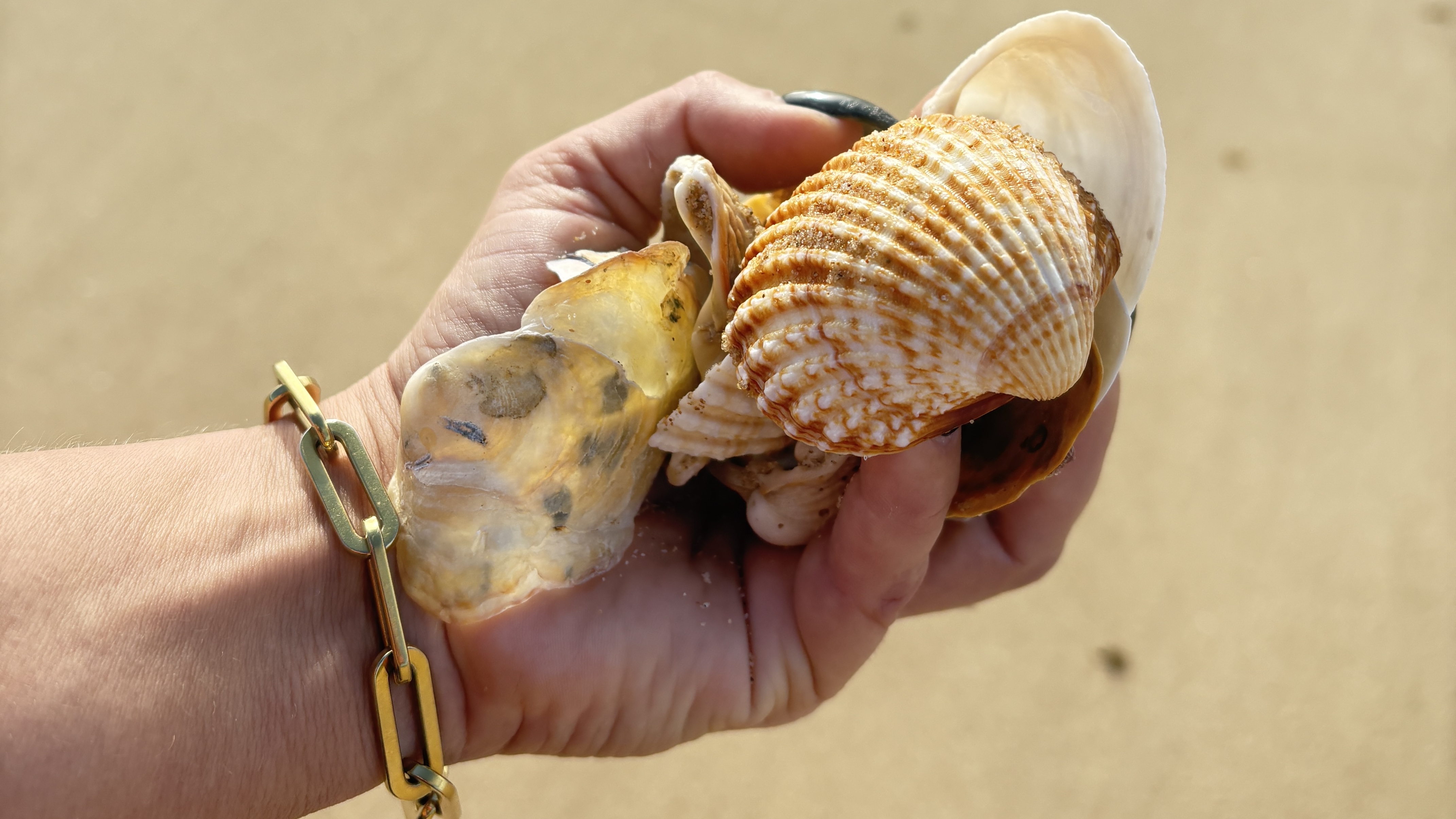 Stressreducerande kroppsterapi och behandlingar för nervsystemet hos Holistica i Göteborg.